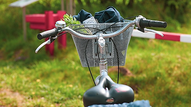 bike-ride-4175770_640