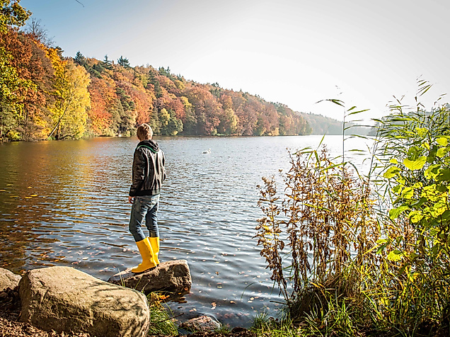 pinnsee_nicolefranke