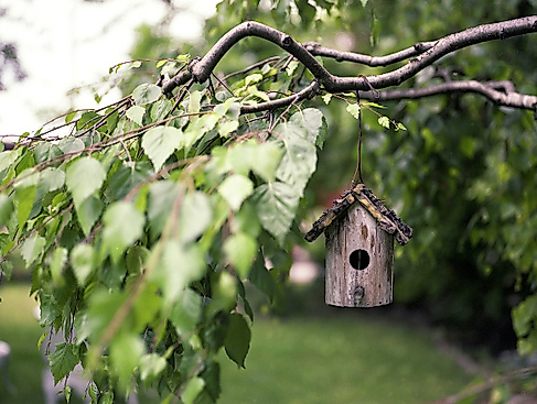 Vogelhaus am Baum