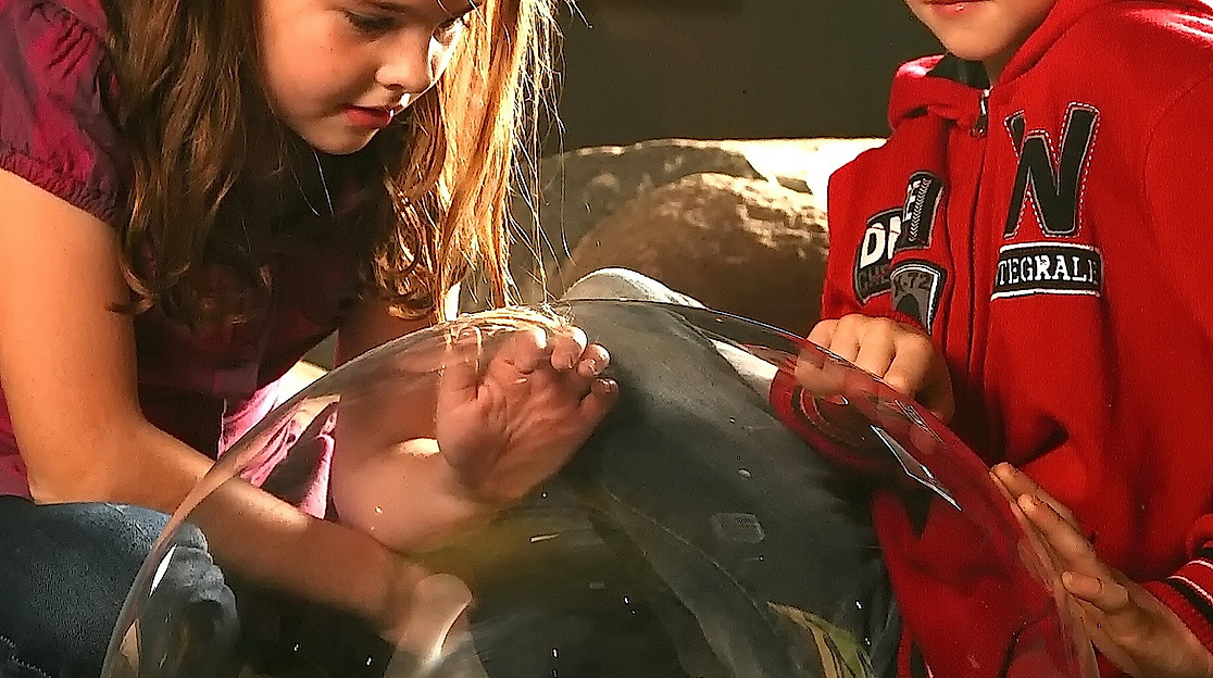 Abenteuer Archäologie