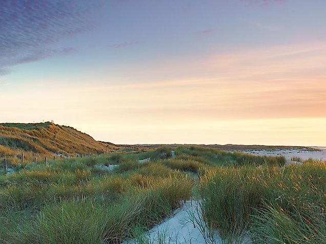 Sylt