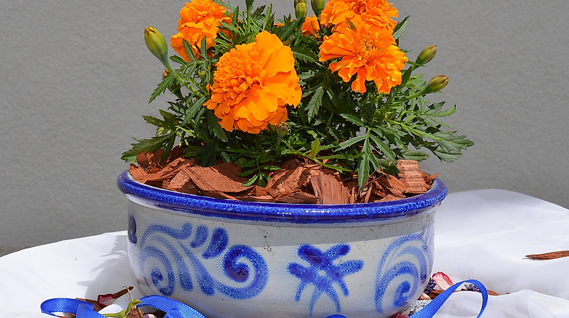 searamica_earthenware-1475480_1920_c-bild-von-marisa04-auf-pixabay