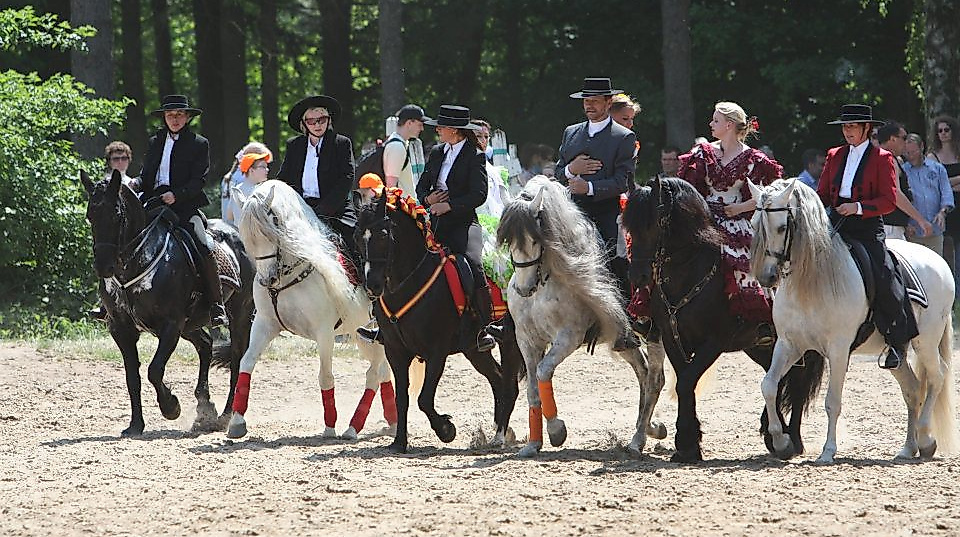 Die Barockreiter von Doma Clasica mit ihren edlen Pferden treten mehrfach an beiden Tagen auf