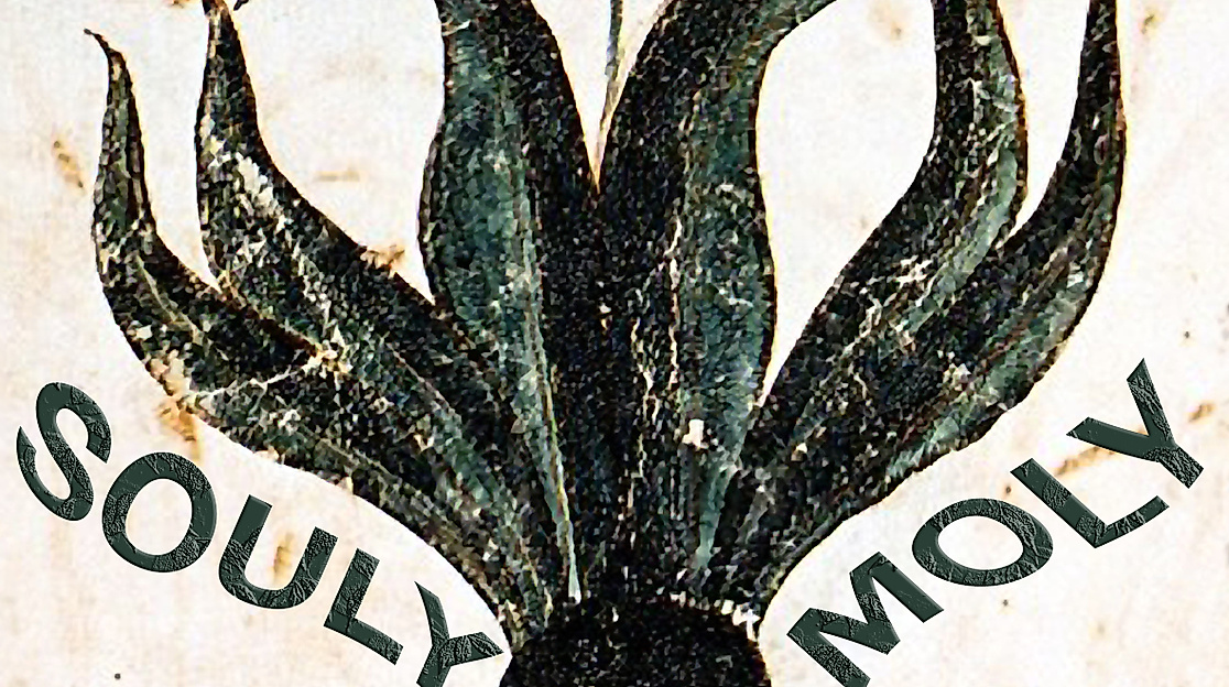 Souly Moly Logo