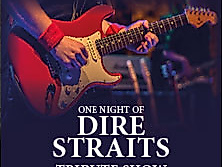One Night of Dire Straits - Tribute Show