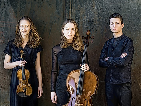 Orchester der Universität zu Lübeck / Amelio Trio