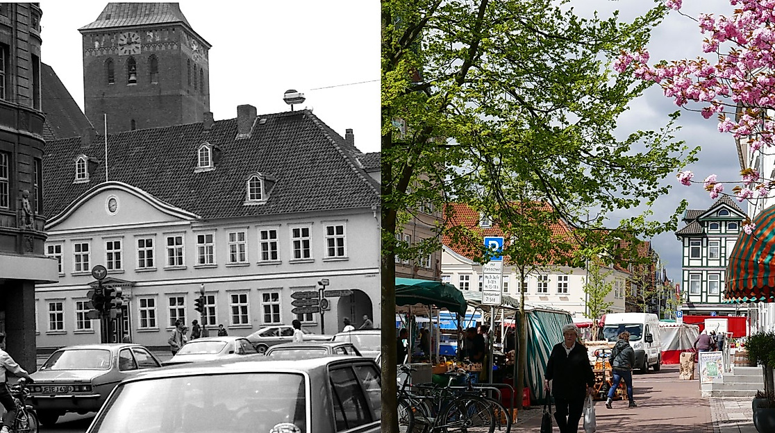 Schimmel Bild
