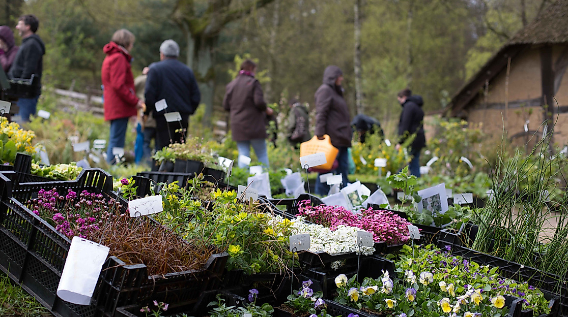 Norddeutschlands größter Pflanzenmarkt