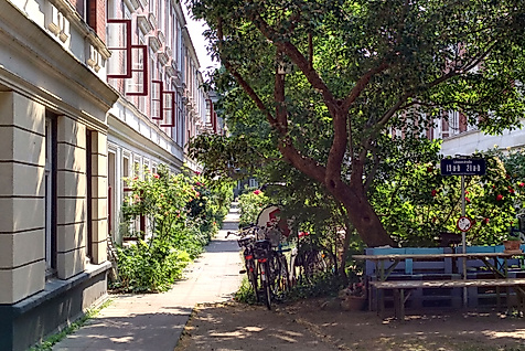 Hamburger Insider Stadtrundgang