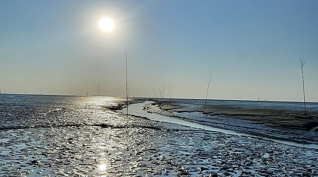 Woche der Natur: Kurs Halten fürs Wattenmeer - Wremen: Seezeichen und Fischerei im Watt entdecken (Anmeldung über Woche der Natur in Niedersachsen)