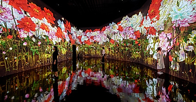 digital-art-museum_proliferating-immense-life-a-whole-year-per-year_c-2021_teamlab