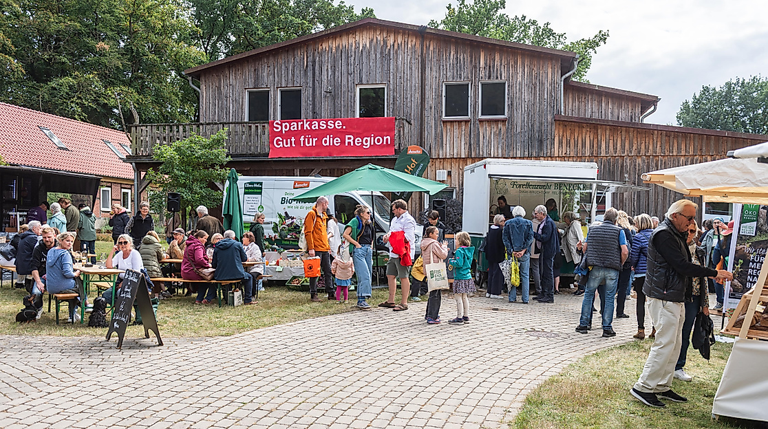 Naschmarkt des Foodstock Festivals 2025