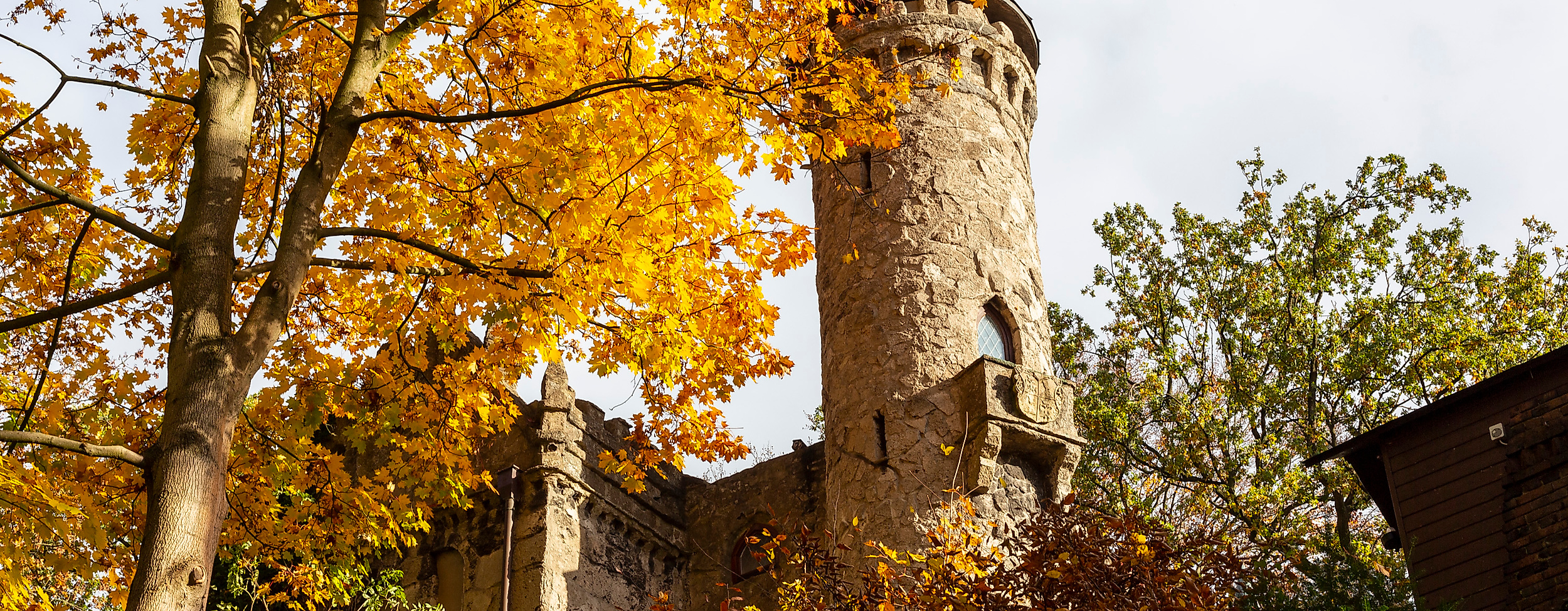Burg Henneberg in Hamburg-Marienthal, herbstlich umgeben von gelb gefärbten Bäumen und historischem Rundturm.
