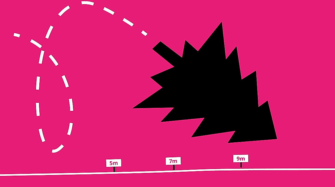 knut Baumweitwurf-Meisterschaft