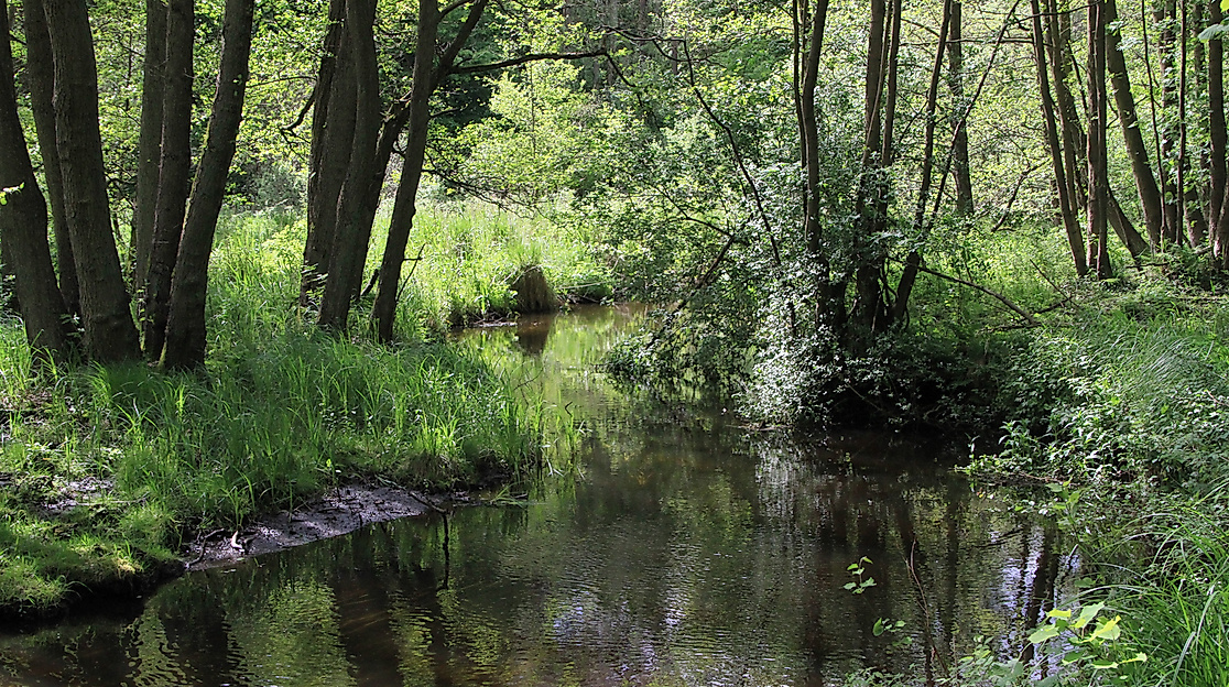 Hellbach