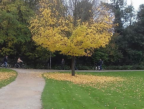 Goldener Oktober im Hamburger Westen
