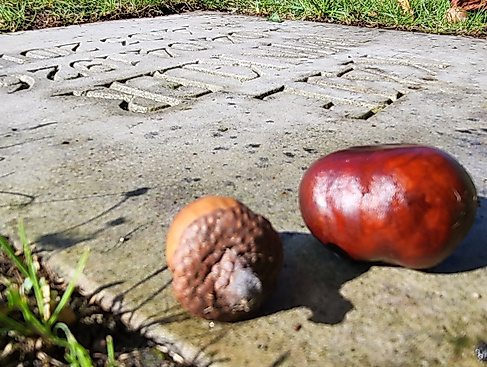Ewigkeitssonntag