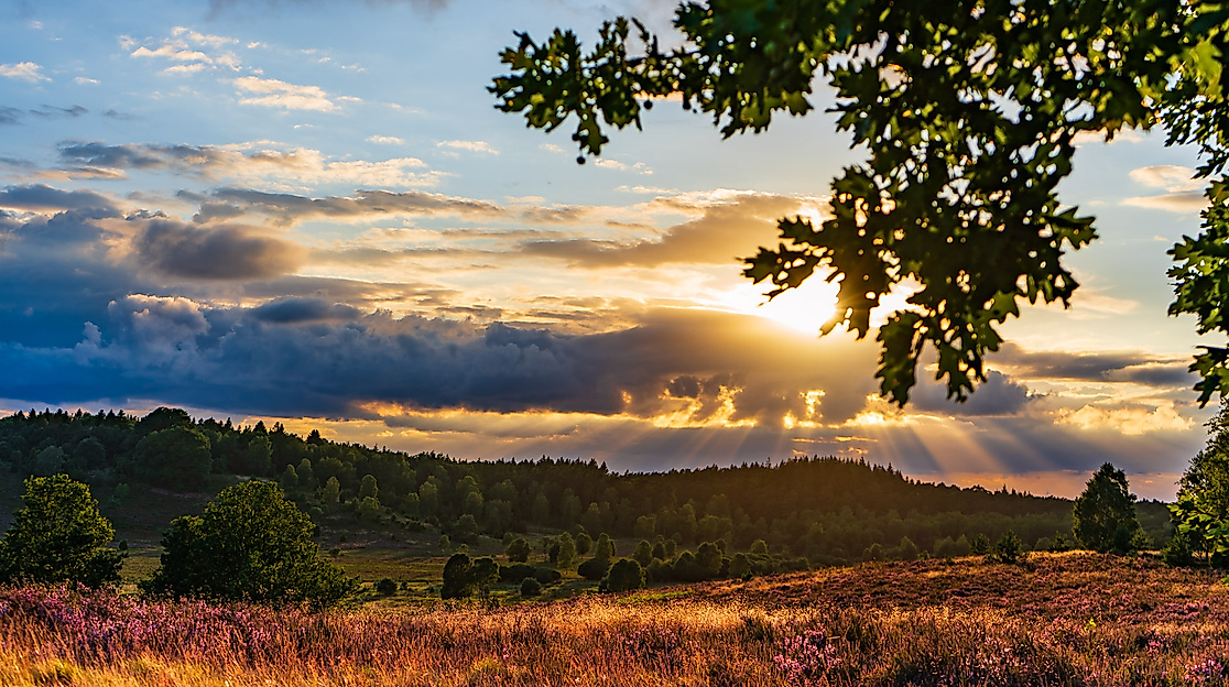 Naturpark-Erlebniswochen: Dem Sonnenuntergang entgegen – Abendwanderung zum Suhorn