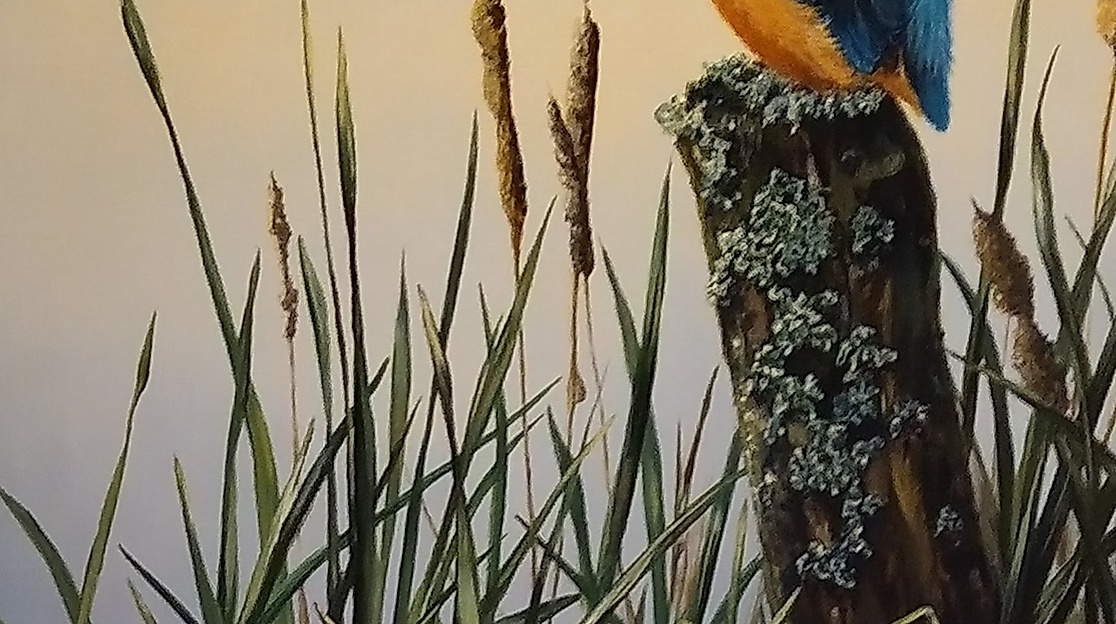Eisvogel / Gemälde von Anne Nachtsheim