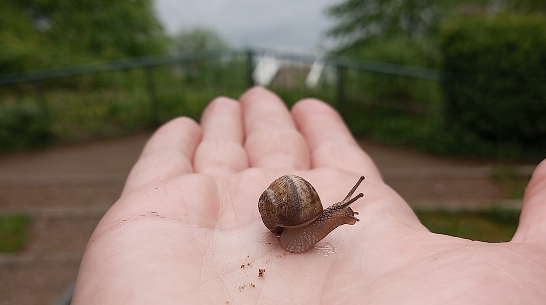 Achtsam um den Ukleisee