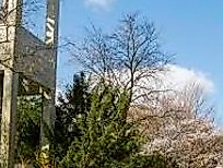 Karfreitag, Andacht zur Sterbestunde Jesu