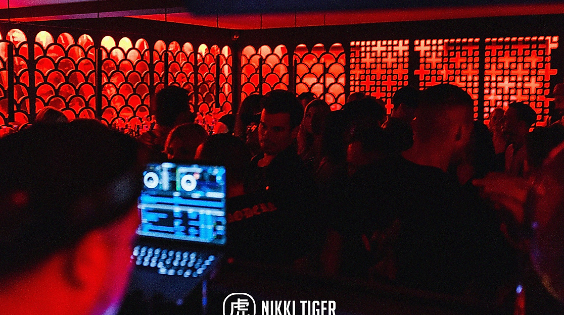 nikki-tiger_c-nikki-tiger-2