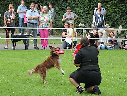 Tag des Hundes