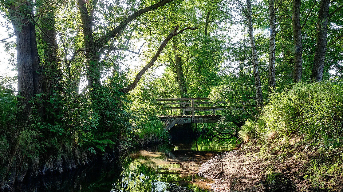 Genius Loci. Fortorte im Sachsenwald