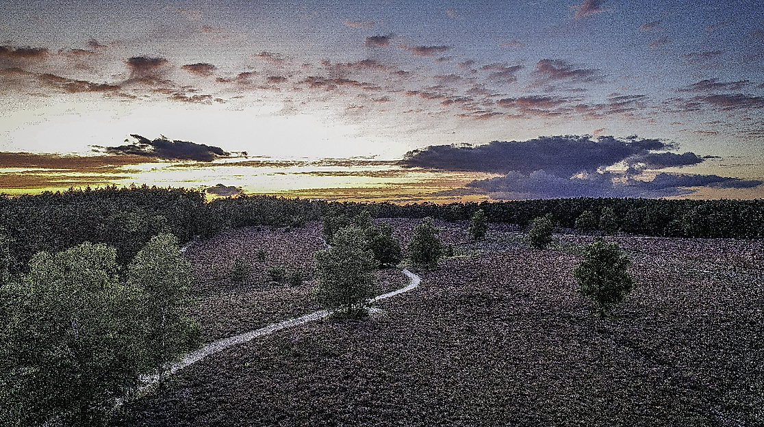 Wietzer Berg