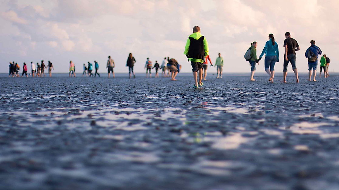 Watt für Einsteiger: Kurze Wattwanderung in Büsum