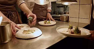 Restaurant Jellyfish