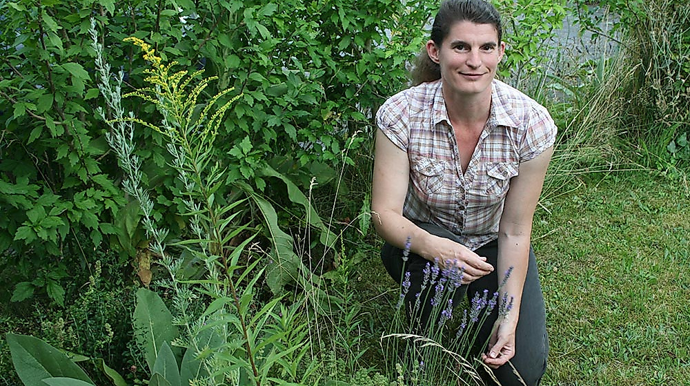 Wildkräuter- Wanderung im Örtzetal
