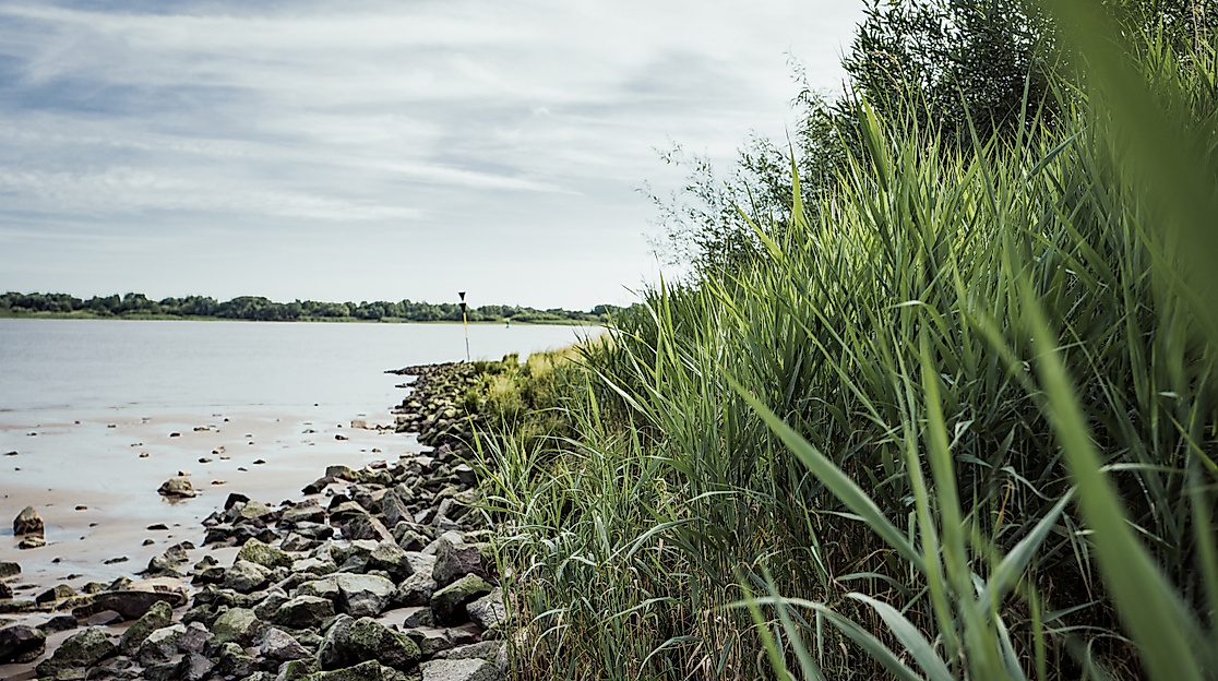 elbstrand_hhlal_c-2017-geheimtipp-hamburg-2