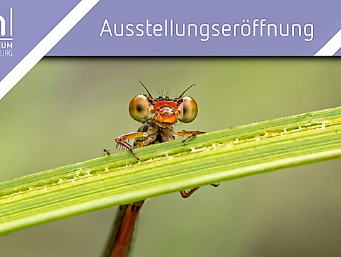 Ausstellungseröffnung "Wunder auf sechs Beinen"