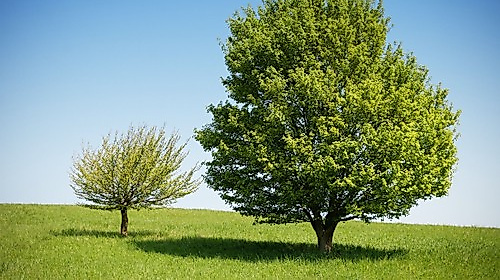 ChurchDesk Gottesdienst
