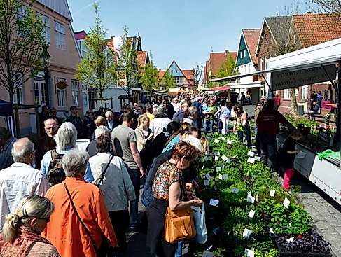 14. Otterndorfer Bauernmarkt mit Garten- und Pflanzenausstellung