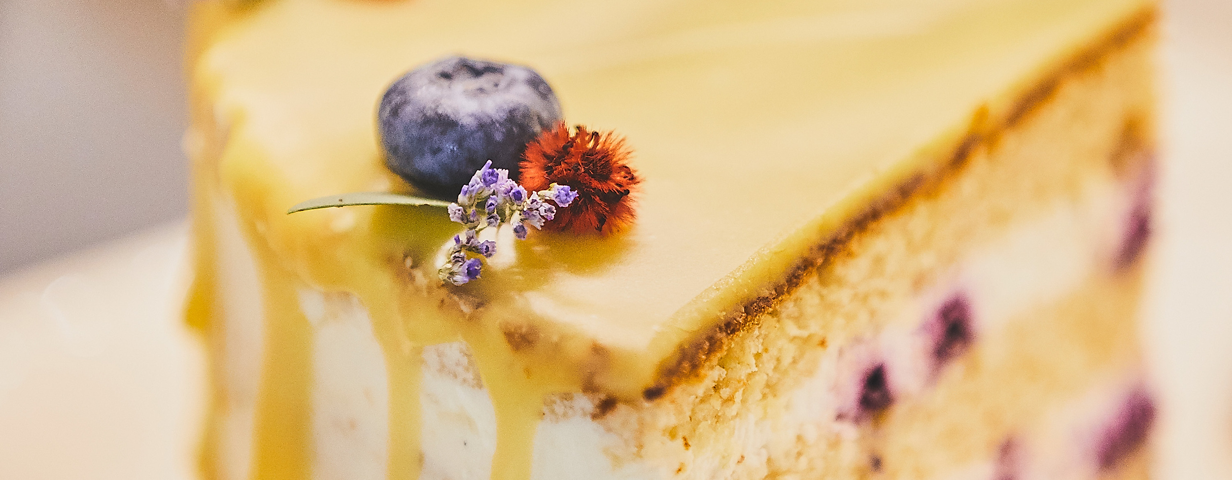 herr-max_c-2018-thisisjulia-photography-9