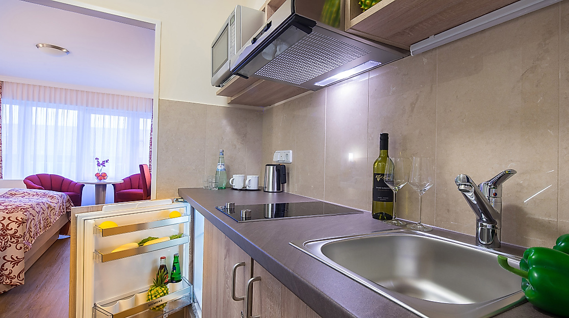 Apartment-Hotel Hamburg Mitte: Kitchenette