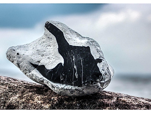 Steine, Fossilien & Meer