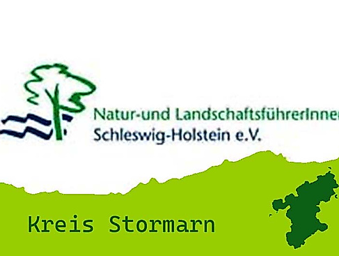 Kreis Storman Illustration