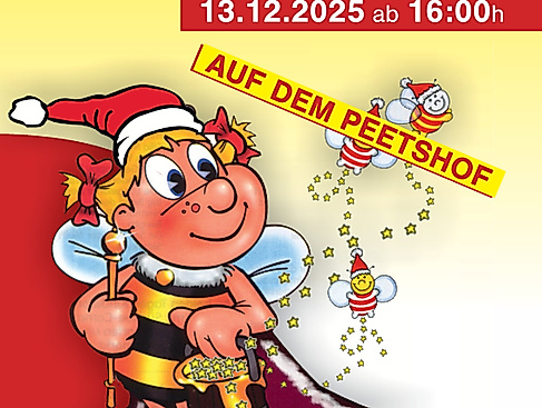 Wietzendorfer Weihnachtsmarkt