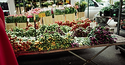 Isemarkt