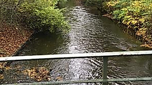Entlang der Oberalster und dem Alsterwanderweg