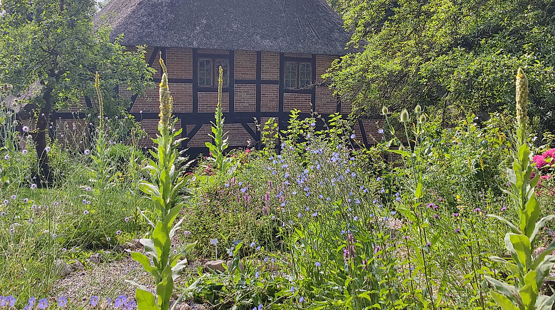 Für mehr Arten im Garten