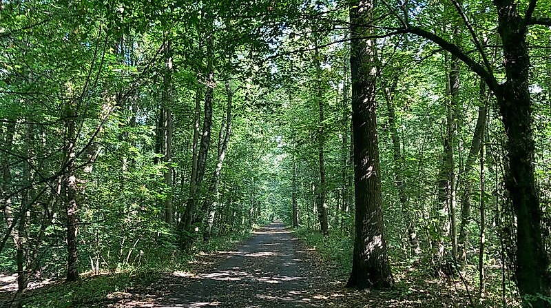 Tag der Geschichtswerkstätten