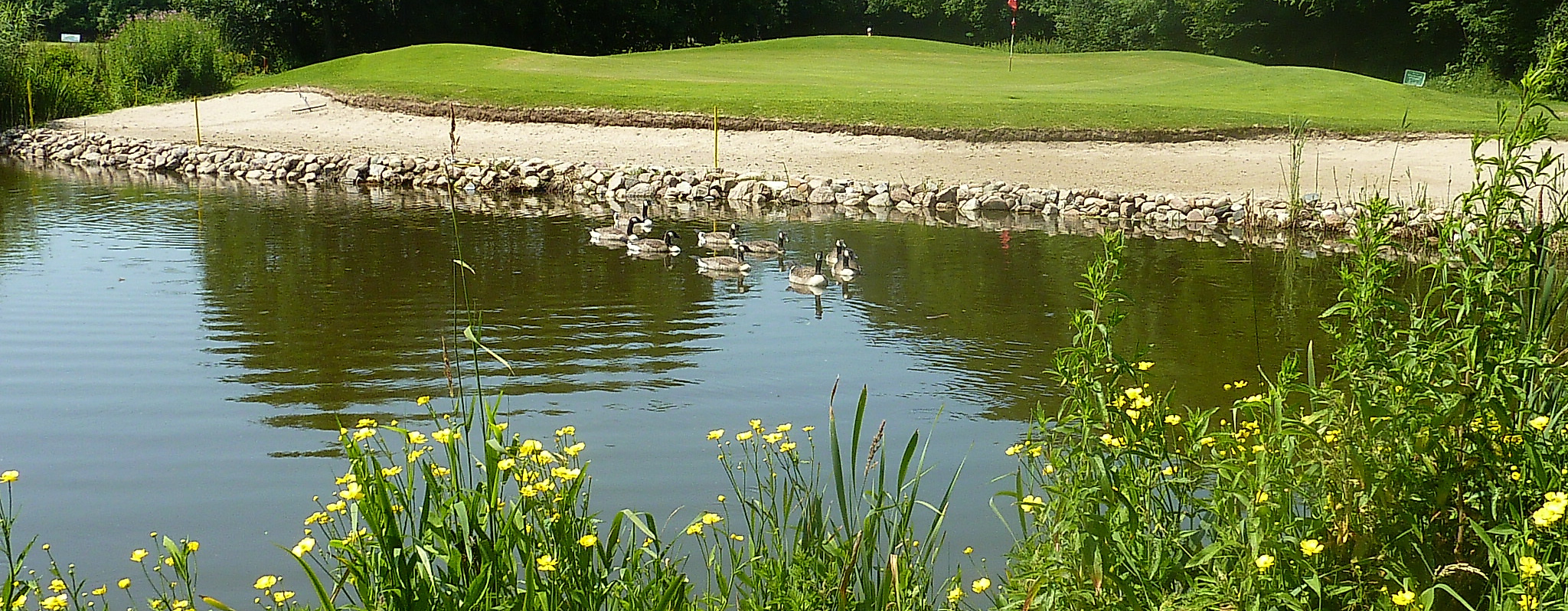 golfpark-weidenhof_bahn_c-golfpark-weidenhof_05