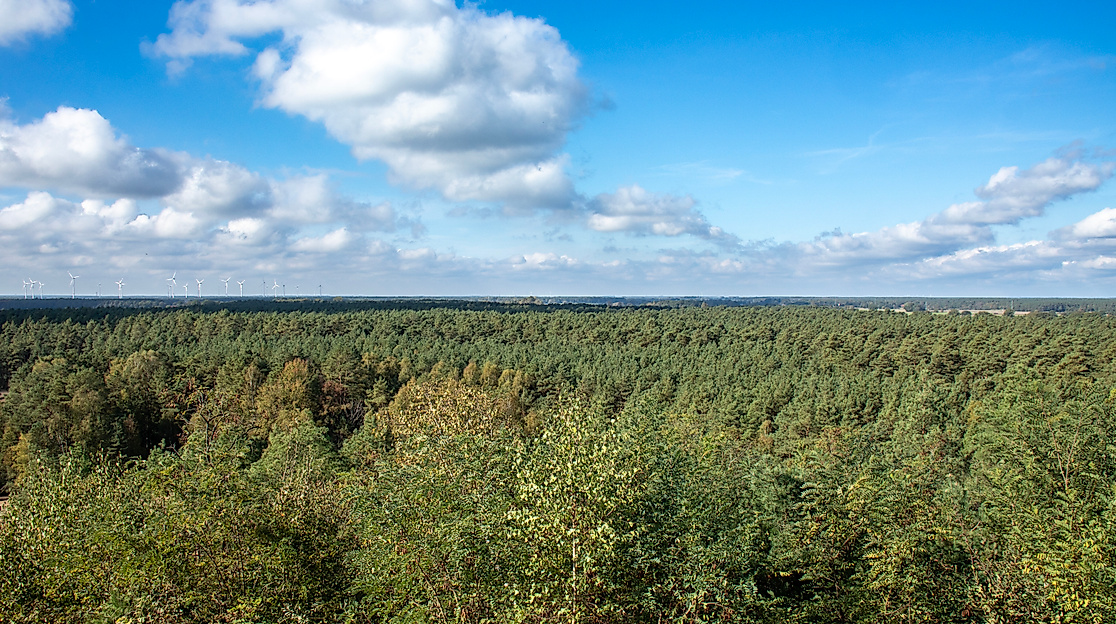 Wietze-Wietzer-Oelberg-Aussicht-Fruehherbst-ccbysa-Ploeger-241006-6908