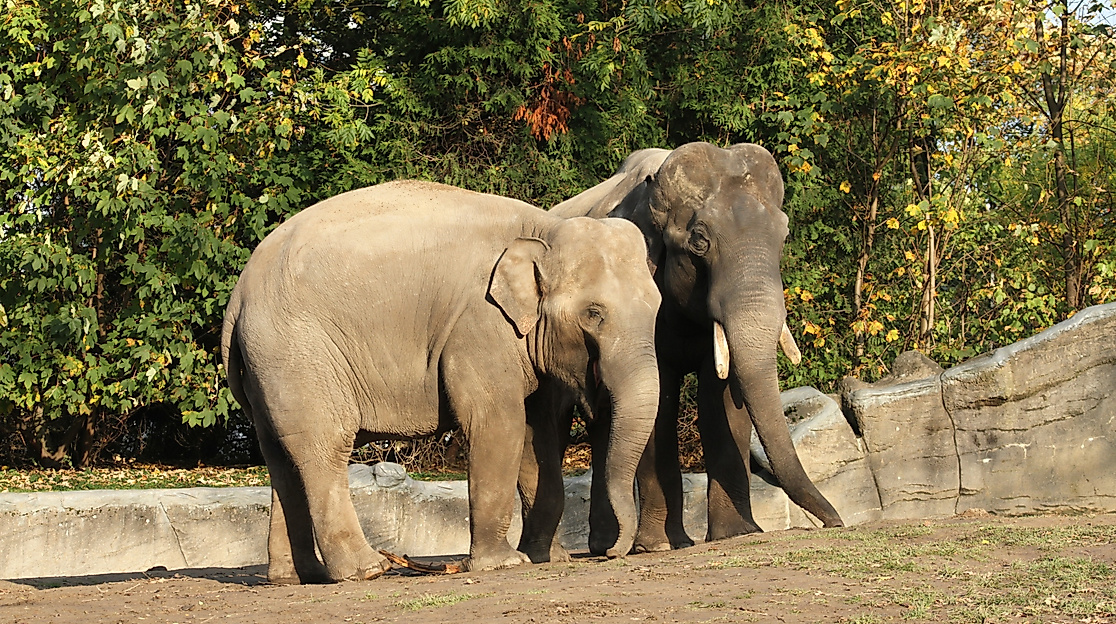 Tierpark Hagenbeck