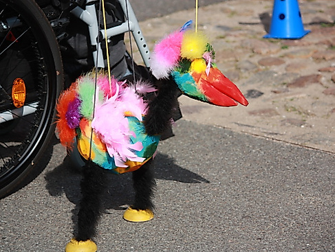Hofsommerfest ?Barmbek schwingt? 2025