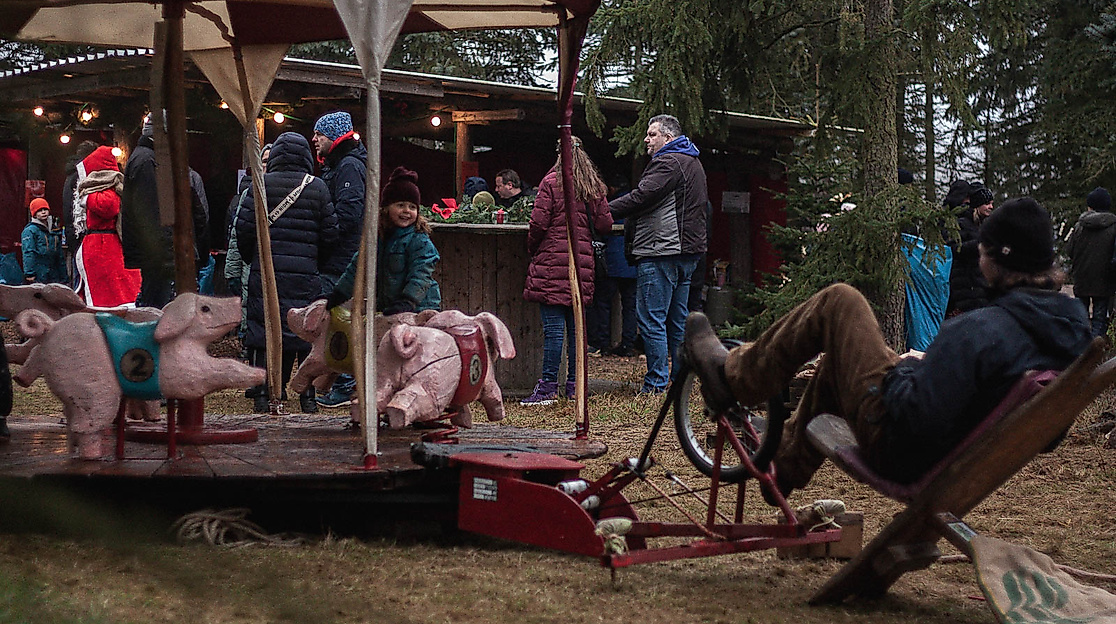 wilkenshoff-tannenbaum-schlagen-karussell-2